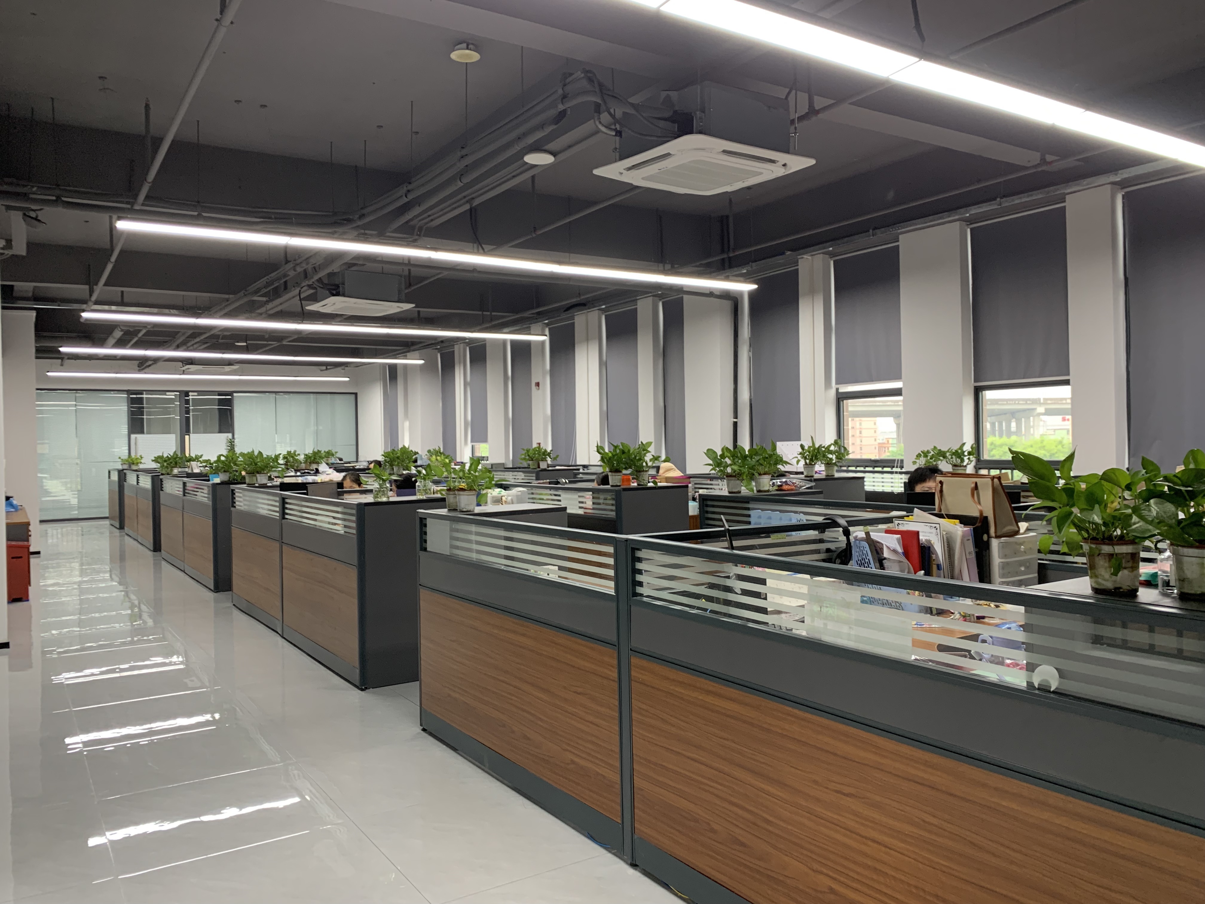 China RICHSTAR (SHENZHEN) LIMITED Unternehmensprofil